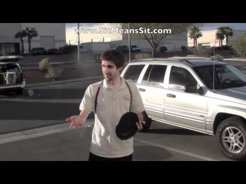 how to train quiet command