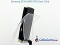 Samsung  SGH-U600 Black Gold