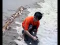 Yan Ng