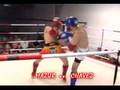 CAMTAO July 28 Sample video - Mazza