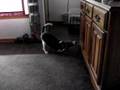 Thomas and his favorite game