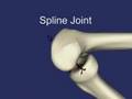 Spline Joints for Multibody Dynamics