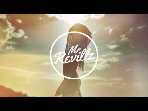 MÖWE - Birds Flying High