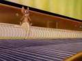 Tom és Jerry Dave Darell feat. Ian Oliver Club Remix