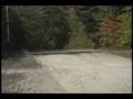 1993 Sept Harrison Maine Part 2 Scott on Hawk