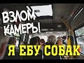 https://youtube.com/watch?v=zDHWJnqxIcs