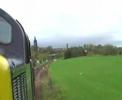 Bo