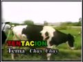 tentacion - CHAY CHAY