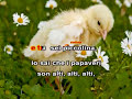 Karaoke - Papaveri e Papere - Nilla Pizzi