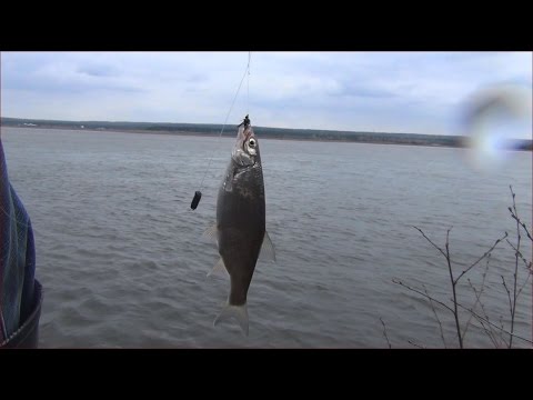 город елец рыбалка город елец рыбалка