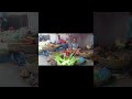 ঝালকাঠিতে আবারও বেড়েছে সবজির দাম
