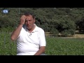 Bodegas Chinchilla
