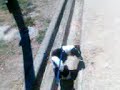 buscando drogas