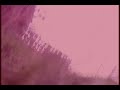 Unsane - can\