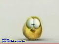 Pintinho