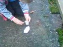 K�llby Idiot
