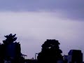 ITAL STYLEE＠お台場潮風公園太陽の広場 2008.09.07
 １