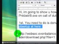 How to fix PnkbstrB.exe