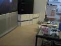 Bunny binky - jumping