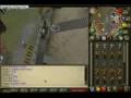 Runescape summoning glitch: Sideways Wyrm