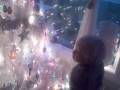 videos de Nov 27 2008 - VID00001
