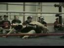 WAMMA fights 4 WAMMA fights 4