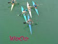 DeLFiNeS