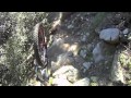 Full footage: Mt Wilson Trail-22 Jan 2011 - sorry its too long, it includes all the behind the scenes of mtbiking or mthiking & pls excuse the chipmunk voice over...& yes lacking music, working on it