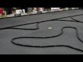 20090322勻翔MINI-Z CUP MR-02 A Main Final Video 1 (HD)