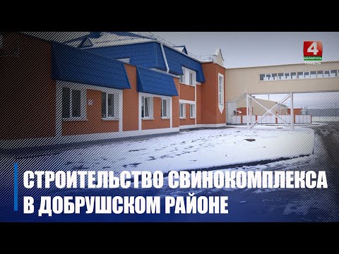 Под Добрушем на новом свинокомплексе установили беговую дорожку для хряков видео