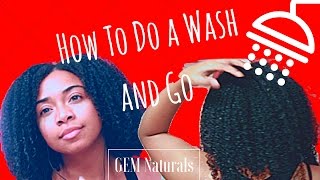 How To Do a Wash and Go on Natural Hair