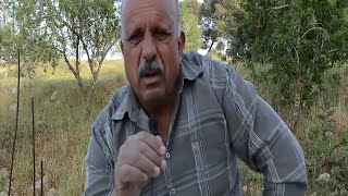 عريقة وما زالت بيت مرسم