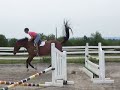 hunter/jumper: Monet