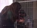 \"Dog Tales\" episode D-124 promo \"Dog Tales\" episode D-124 promo