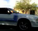 Ghost Ride the Mustang 5.0!!!