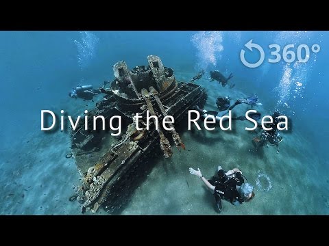 Diving the Red Sea - Underwater 360 Video - YouTube