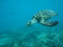 Antigua and Barbuda Video