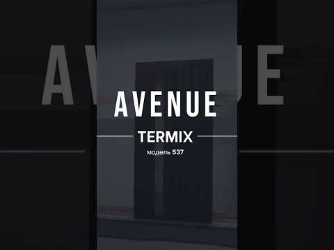 Вхідні двері з терморозривом модель Avenue комплектація Termix 537 1403