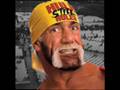 videos de hulk hogan tribute