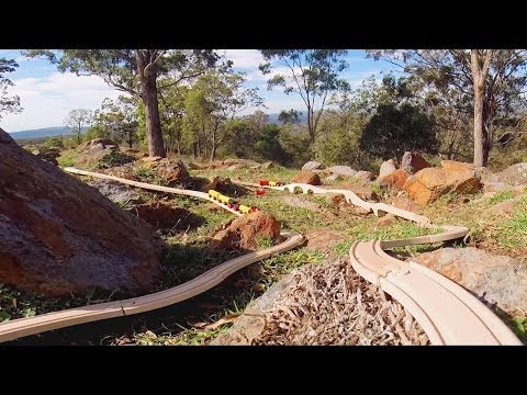 how to grow australian christmas bush