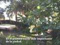 Parque Municipal - Turismo en Azul