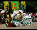 Lion Dance 2