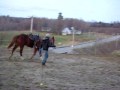 Entrainement Laya 2