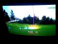 very nice eagle