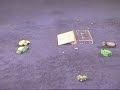 Dende en un accidente de autos