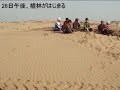 Tree Planting in Inner Mongolia