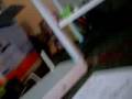 videos de What is that?