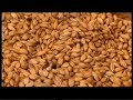 Food en Fit Aflevering 2: Hertog Jan