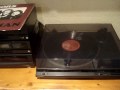 Doors - Hyacint House (Vinyl)