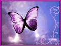 BESOS DE MARIPOSA